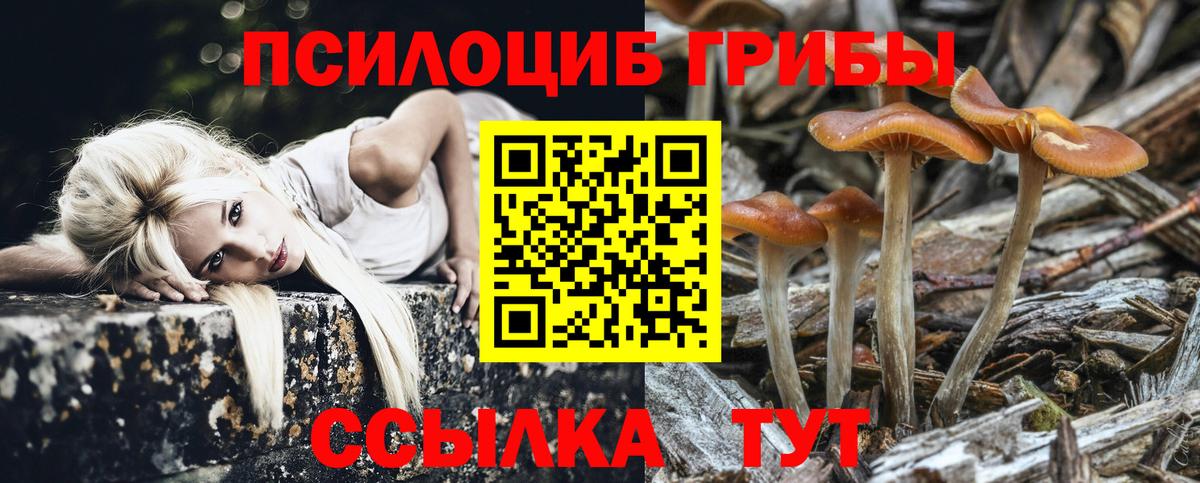 Псилоцибиновые грибы GOLDEN TEACHER  Галлюциногенные грибы мицелий  Корсаков  Вход с VPN 